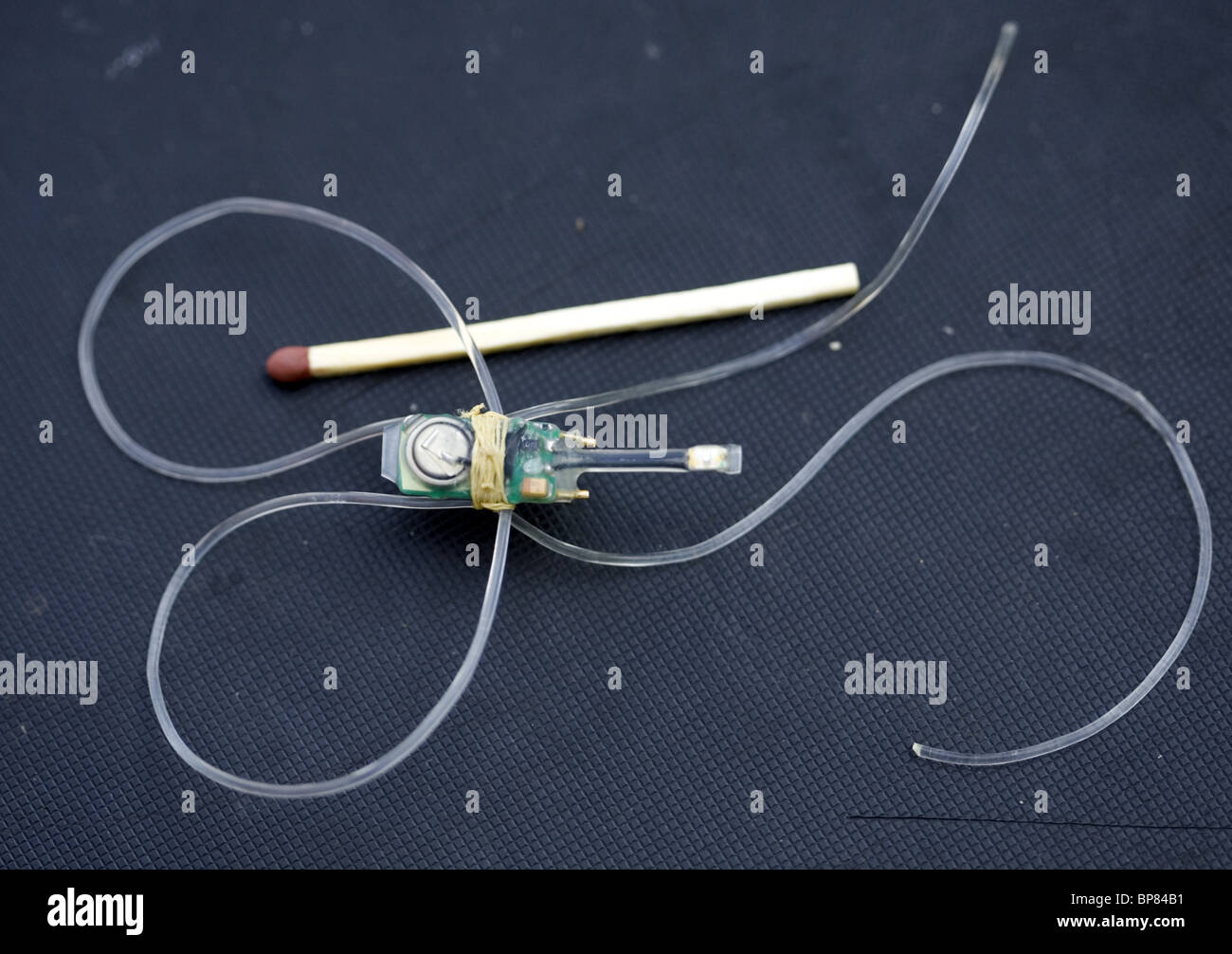 Close up of geolocator used to study bird migration with match to compare dimensions Stock Photo