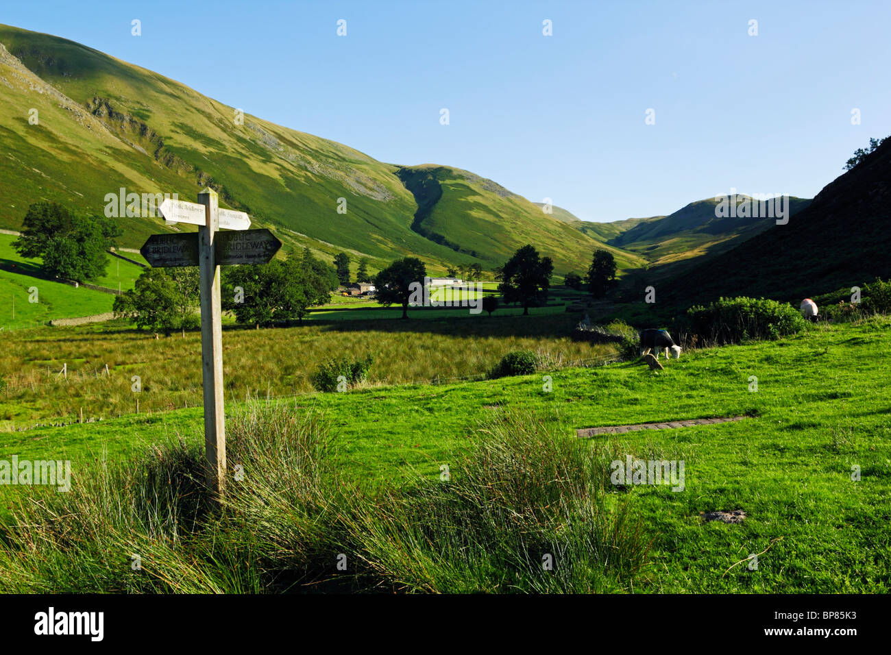Signpost pointing the way to Public Footpaths near Ullswater in the Lake District National Park, Cumbria. Stock Photo