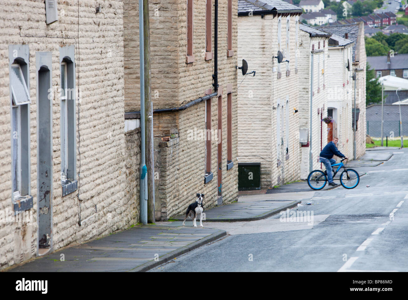 Boarded up derelict houses in Burnley, Lancashire, UK Stock Photo Alamy