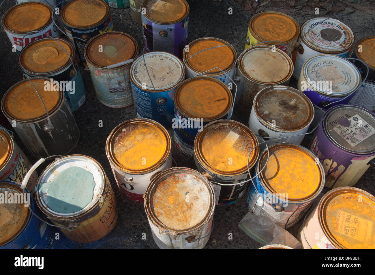 Discarded and improperly stored paint cans constitute an environmantal