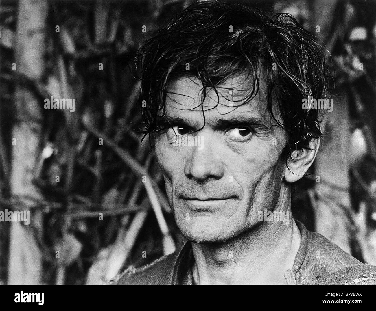The Decameron High Resolution Stock Photography and Images - Alamy