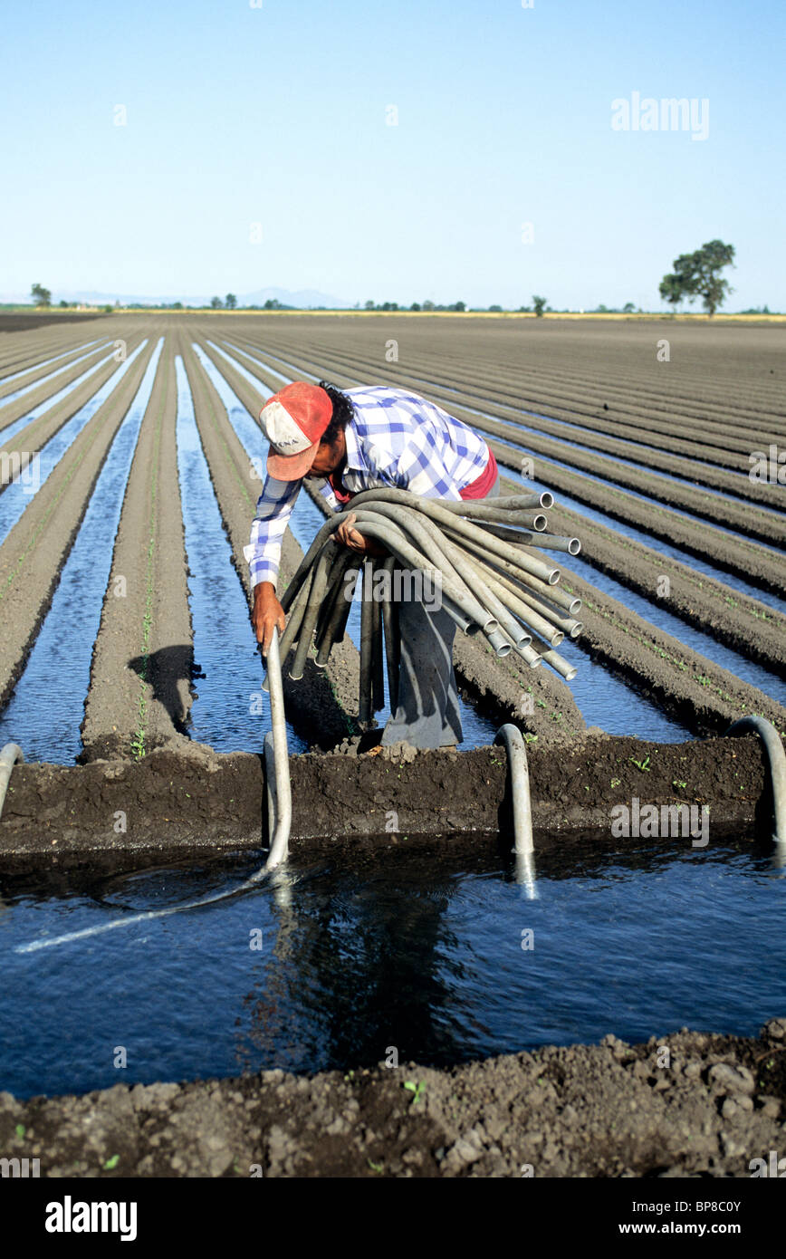 Ditch irrigation siphon hires stock photography and images Alamy
