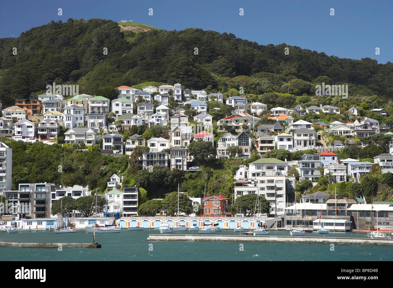 Historic Villas, Oriental Bay, and Clyde Quay Marina, Wellington, North Island, New Zealand Stock Photo