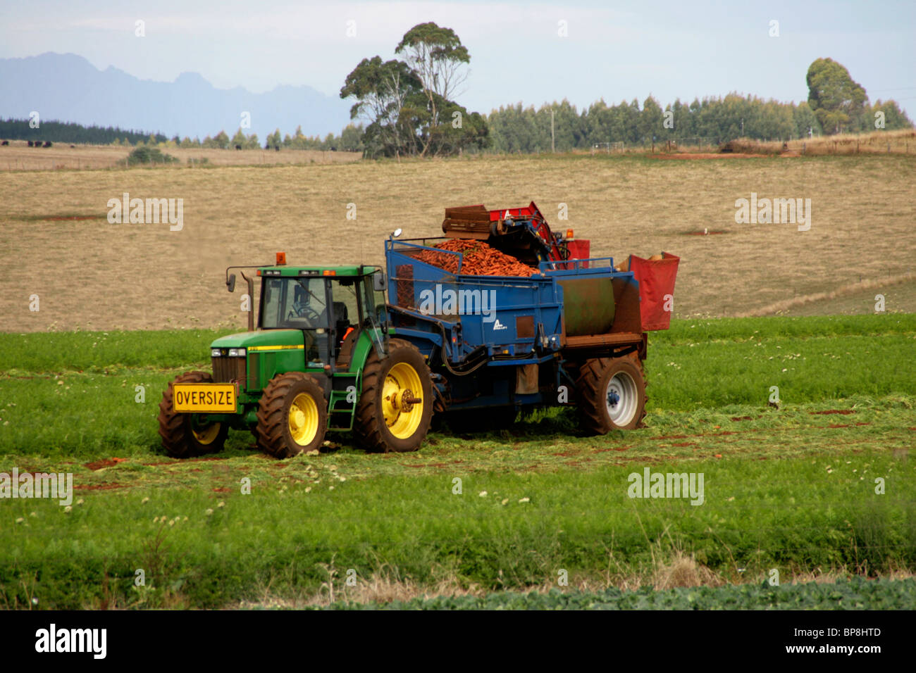 Carrots harvest field tractor hires stock photography and images Alamy