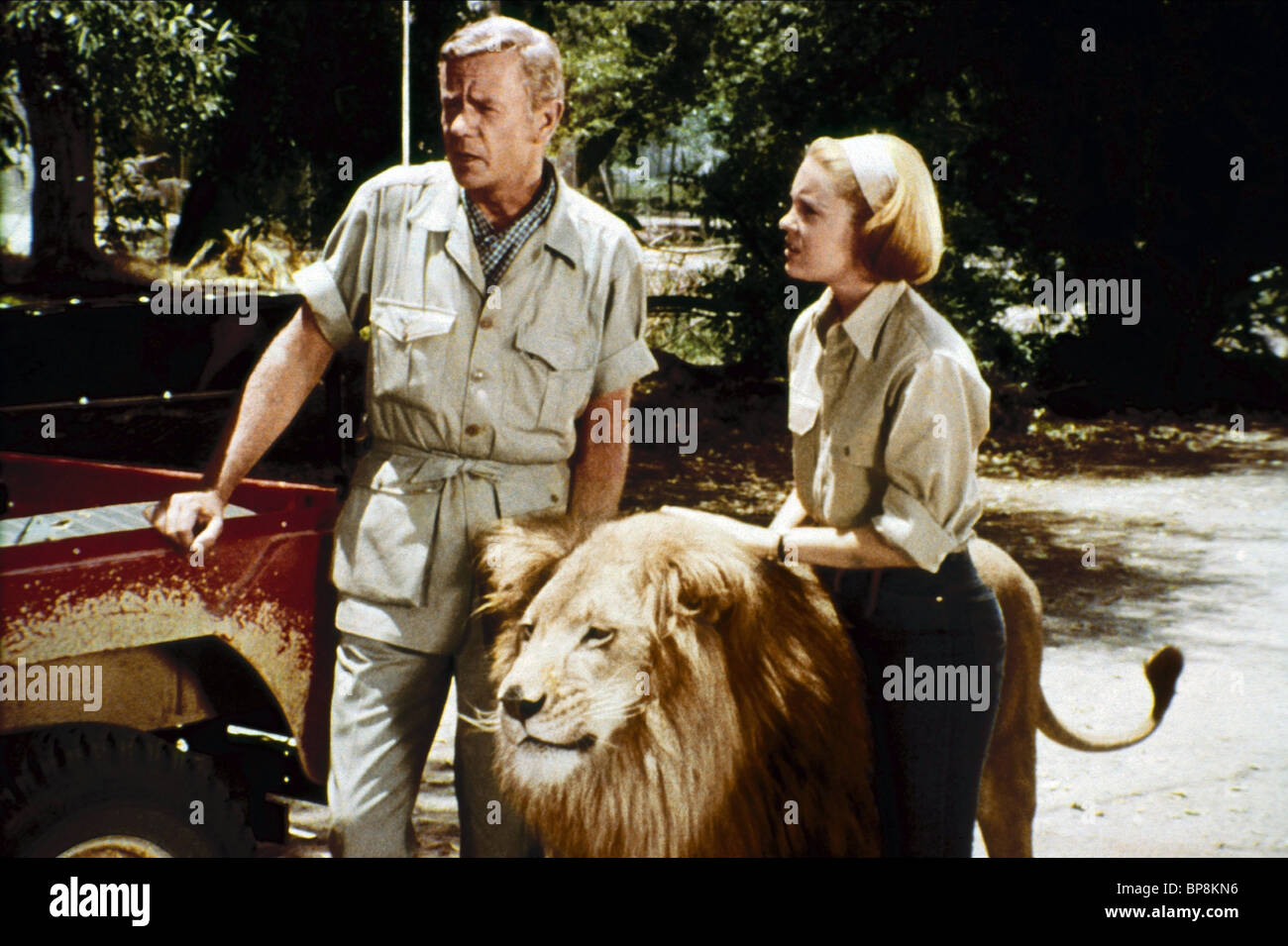 marshall-thompson-cheryl-miller-clarence-daktari-1966-BP8KN6.jpg
