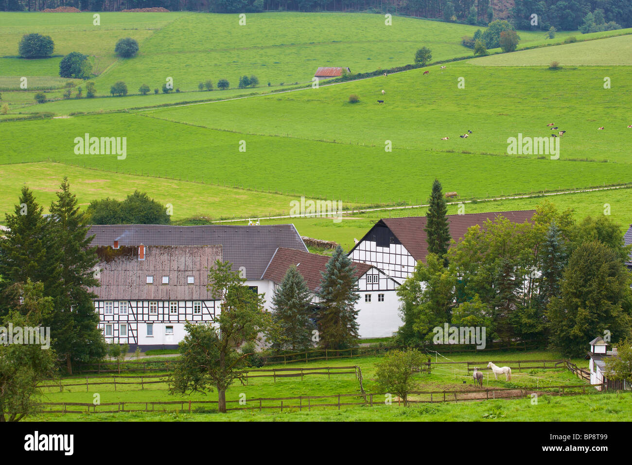 Outdoor Photo, Early autumn, Day, Farmhouse at Wenholthausen, Sauerland, North Rhine - Westfalia, Germany, Europe Stock Photo