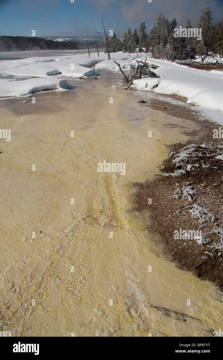 USA, Wyoming. Yellowstone National Park. Fountain Paint Pot area. Geothermal features, thermopile bacteria mat. Stock Photo
