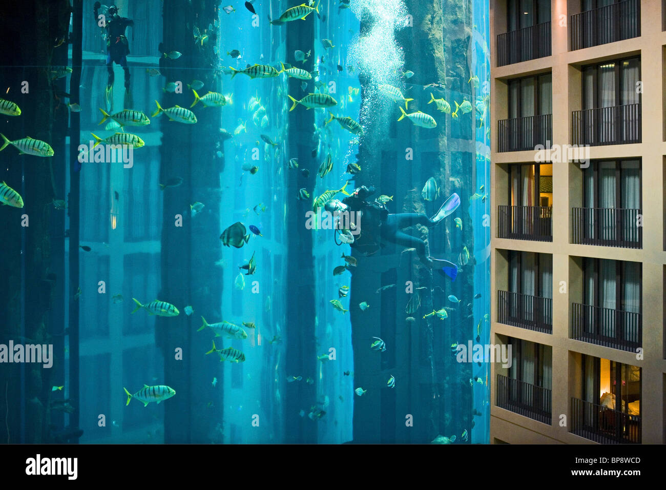 the 5 star Radisson SAS Hotel features the world's largest cylindrical aquarium. entrance to Aqua Dom, a diver cleans the tank, Stock Photo