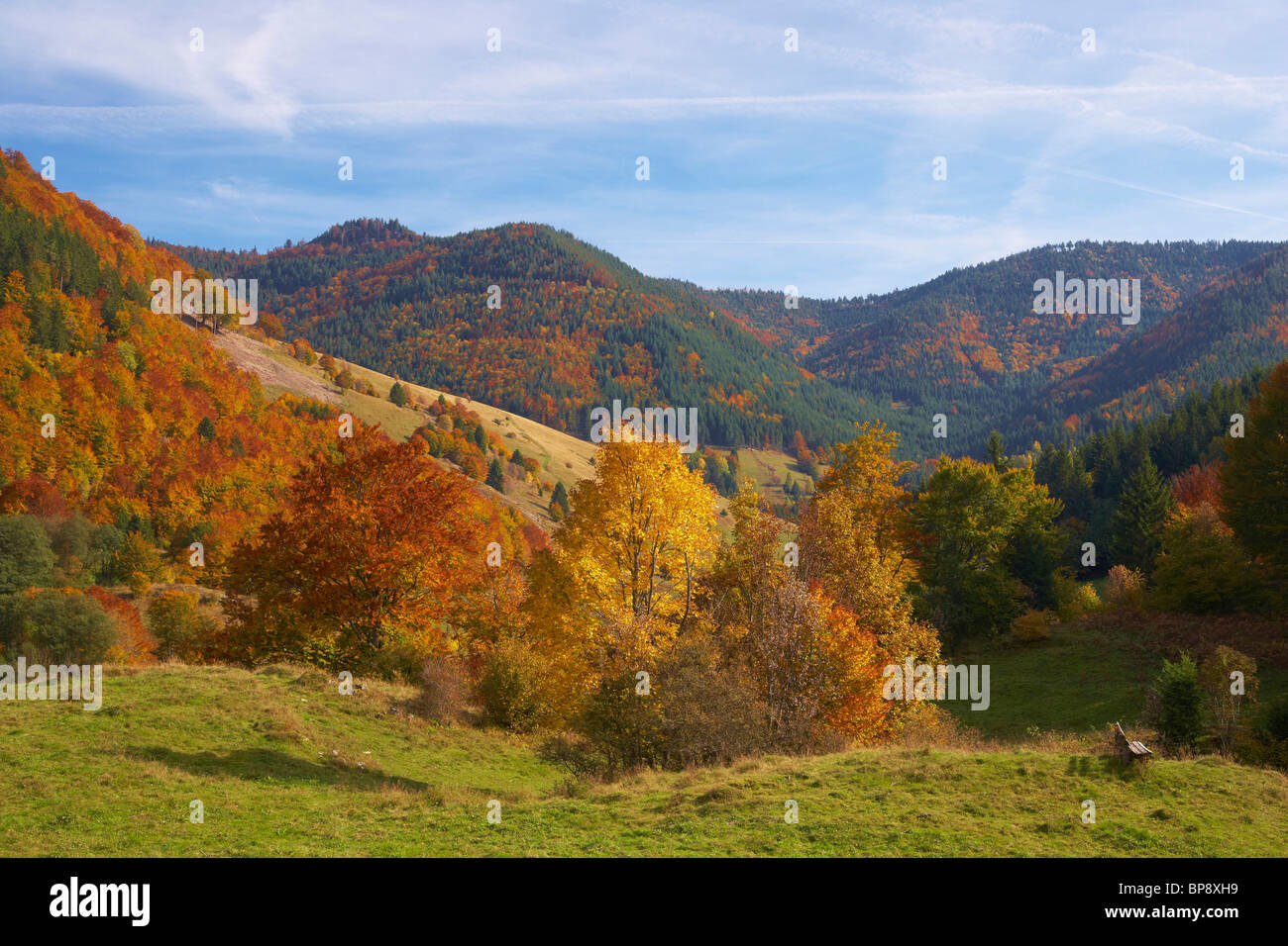 Autumnal tint near Todtnau - Praeg, Black Forest, Baden-Wuerttemberg, Germany, Europe Stock Photo
