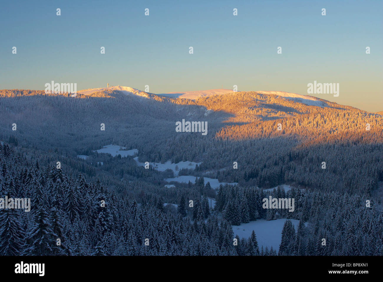 Snow-covered Feldberg with Seebachtal on a Winter's morning, Sunrise, Black Forest, Baden-Wuerttemberg, Germany, Europe Stock Photo