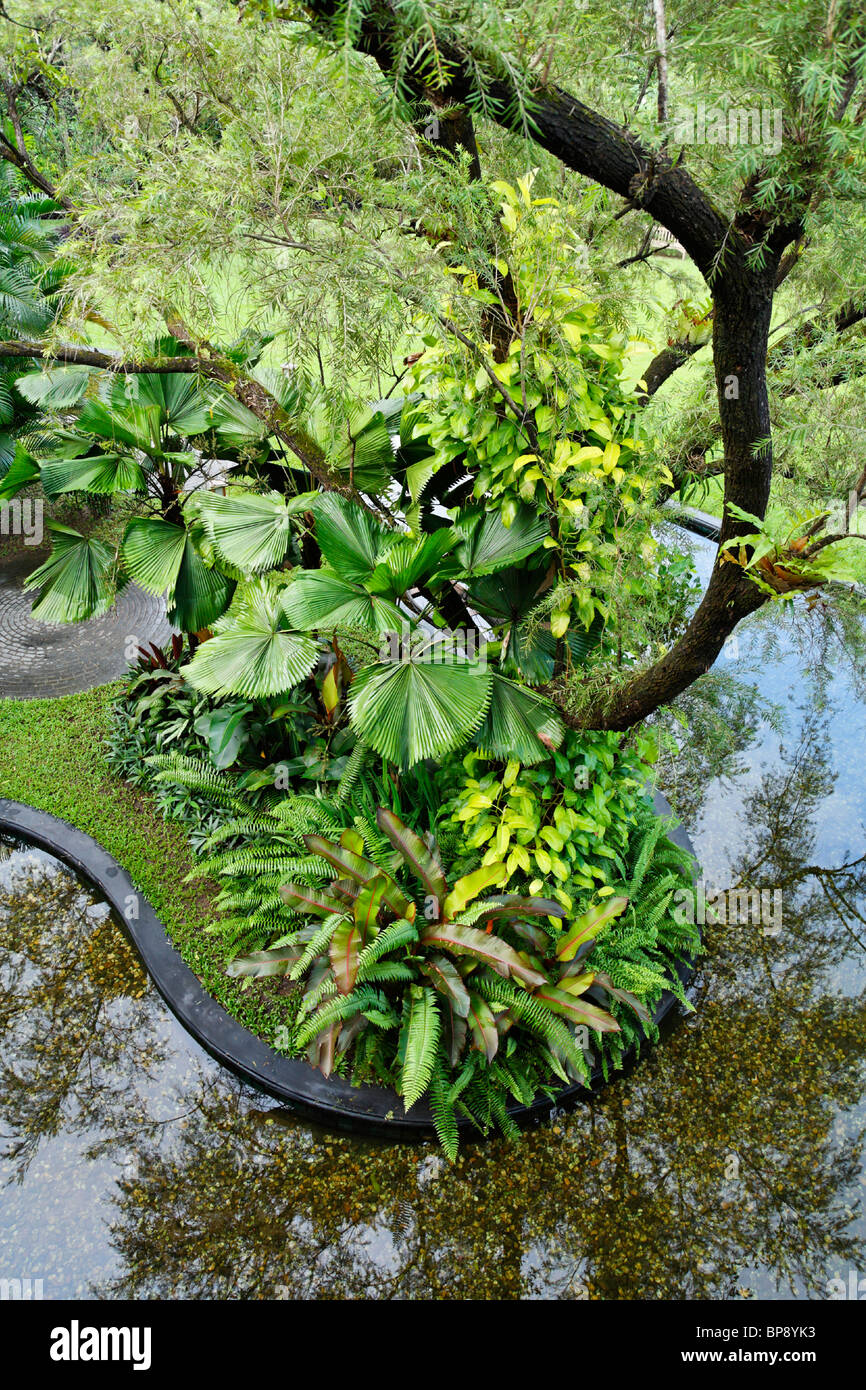 Plants Beside Pond, Myanmar Stock Photo Alamy