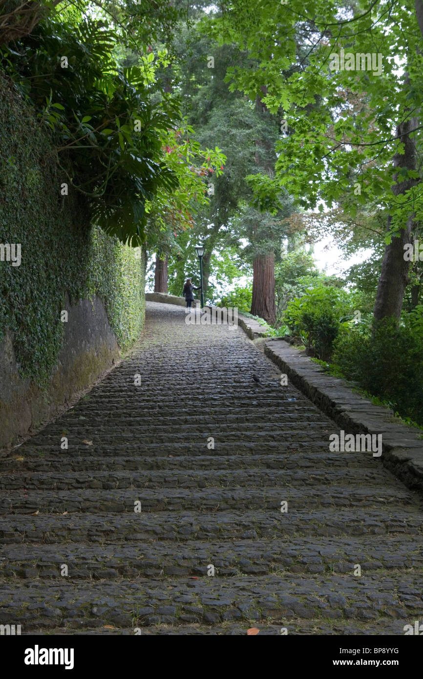 Steps to Nossa Senhora do Monte Church, Funchal, Madeira, Portugal ...