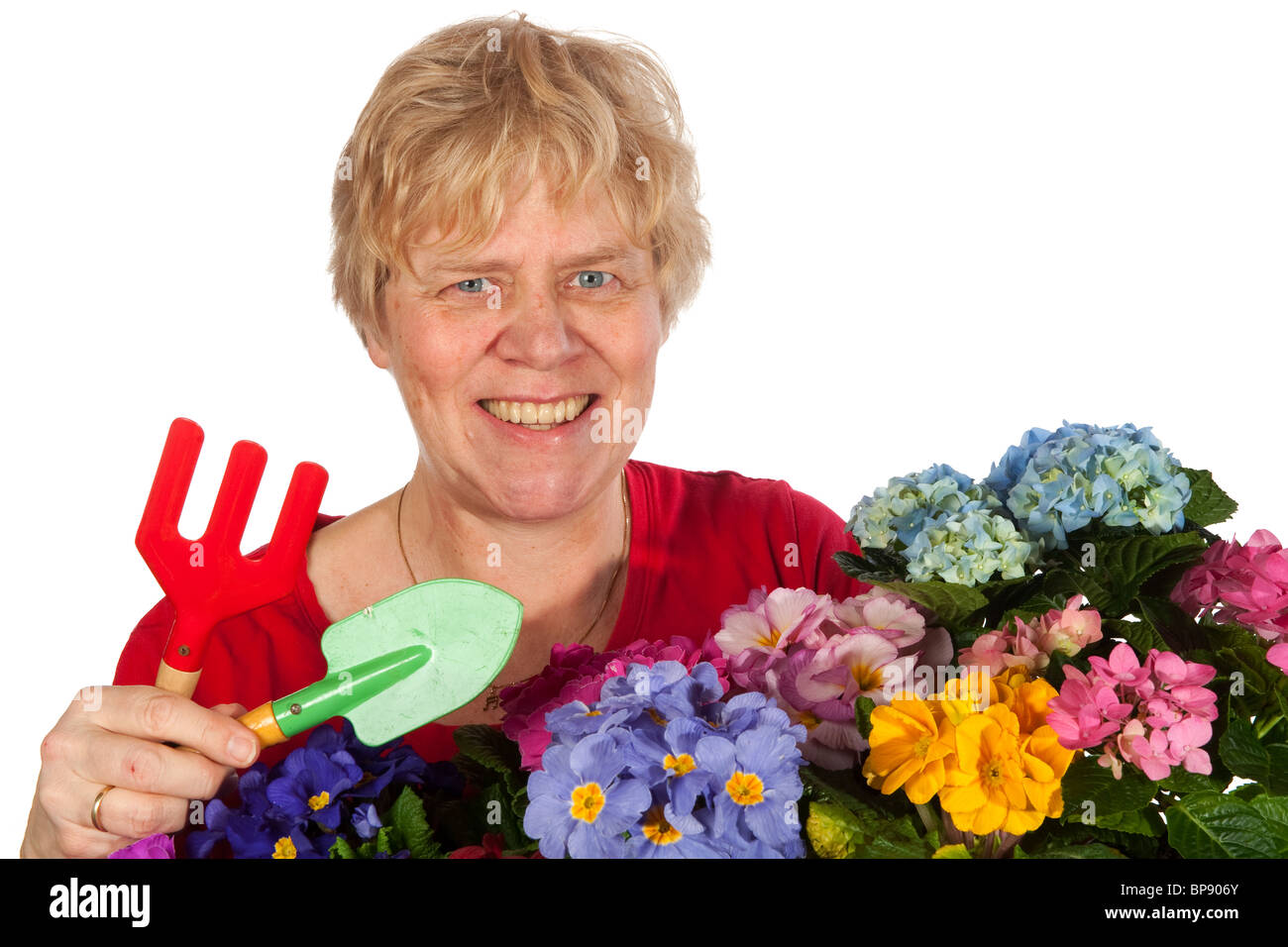 elderly woman is gardening with plants in spring Stock Photo - Alamy