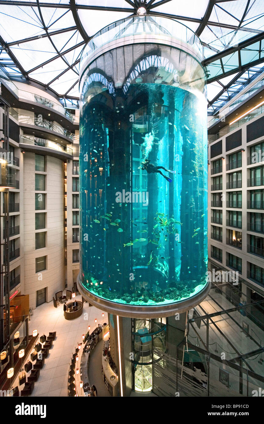 the 5 star Radisson SAS Hotel features the world's largest cylindrical aquarium. entrance to Aqua Dom, a diver cleans the tank, Stock Photo