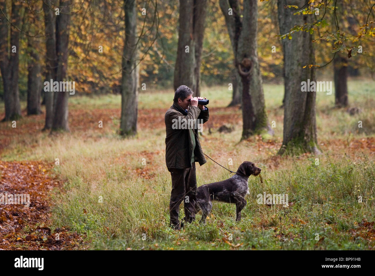 chief forester Menzel, ranger with dog in the Sau Park Springe, Hanover region, Lower Saxony, northern Germany Stock Photo
