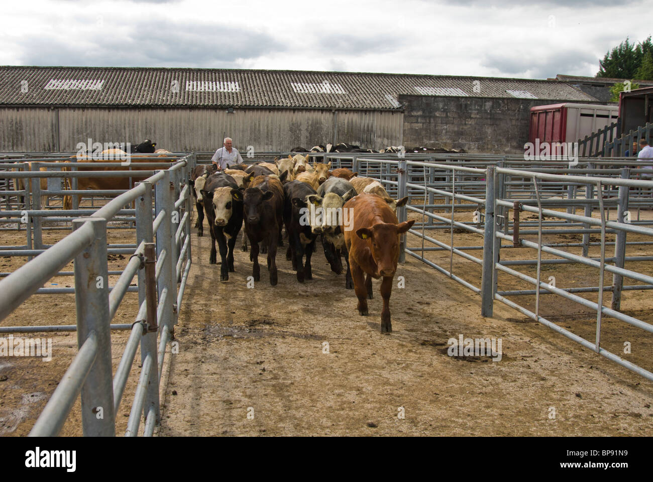 Loaded beast hi-res stock photography and images - Alamy