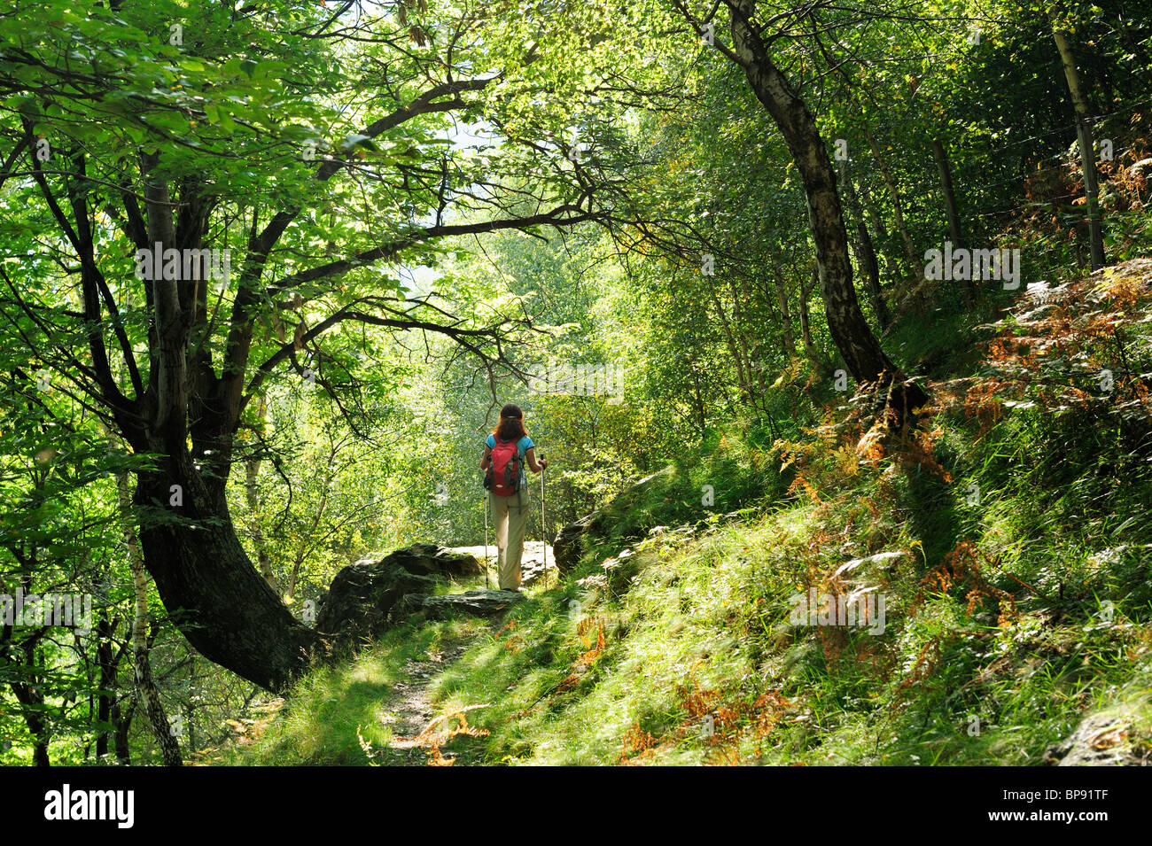 Woman hiking through mixed forest, Ticino Alps, Ticino, Switzerland Stock Photo
