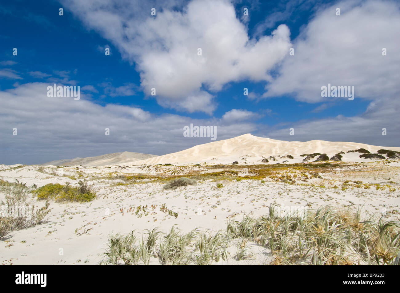 Bilbunya Dunes, near Cape Culver, Nuytsland Nature Reserve, Western Australia, Australia Stock Photo