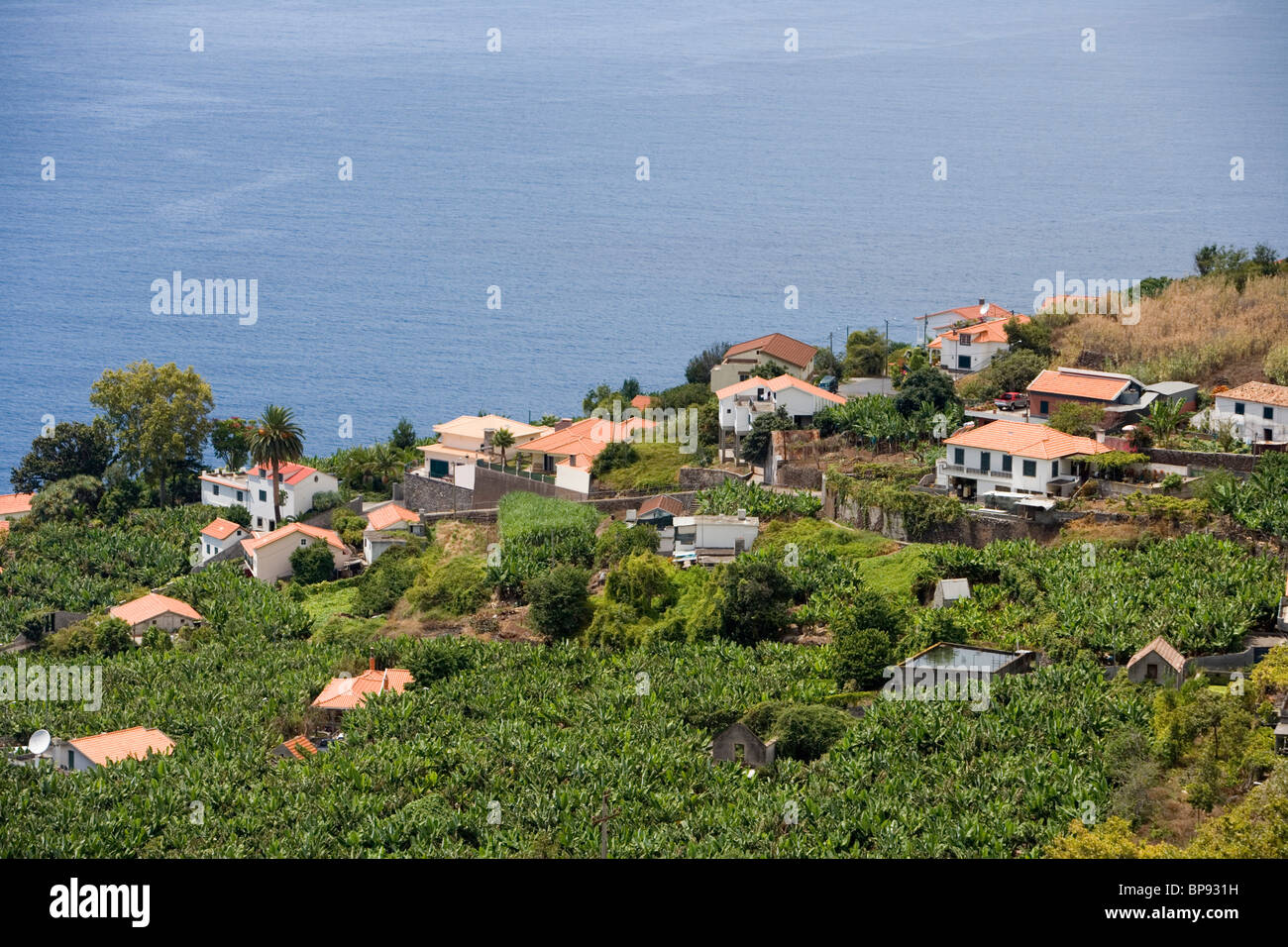 Houses amidst a banana plantation, Madalena do Mar, Madeira, Portugal Stock Photo