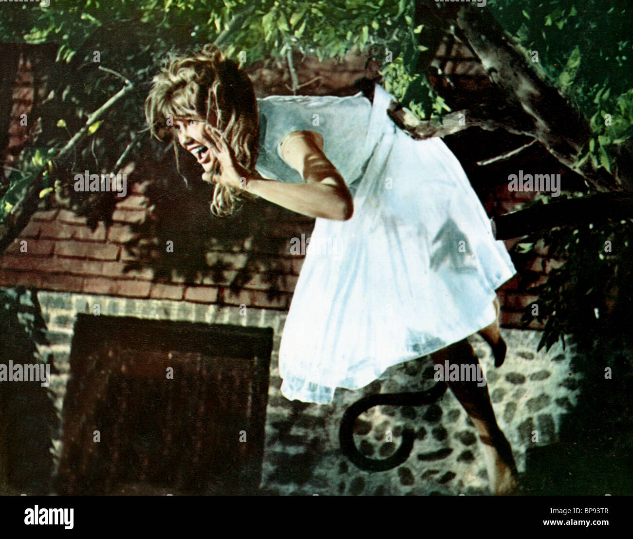 HAYLEY MILLS THE CHALK GARDEN (1964 Stock Photo Alamy