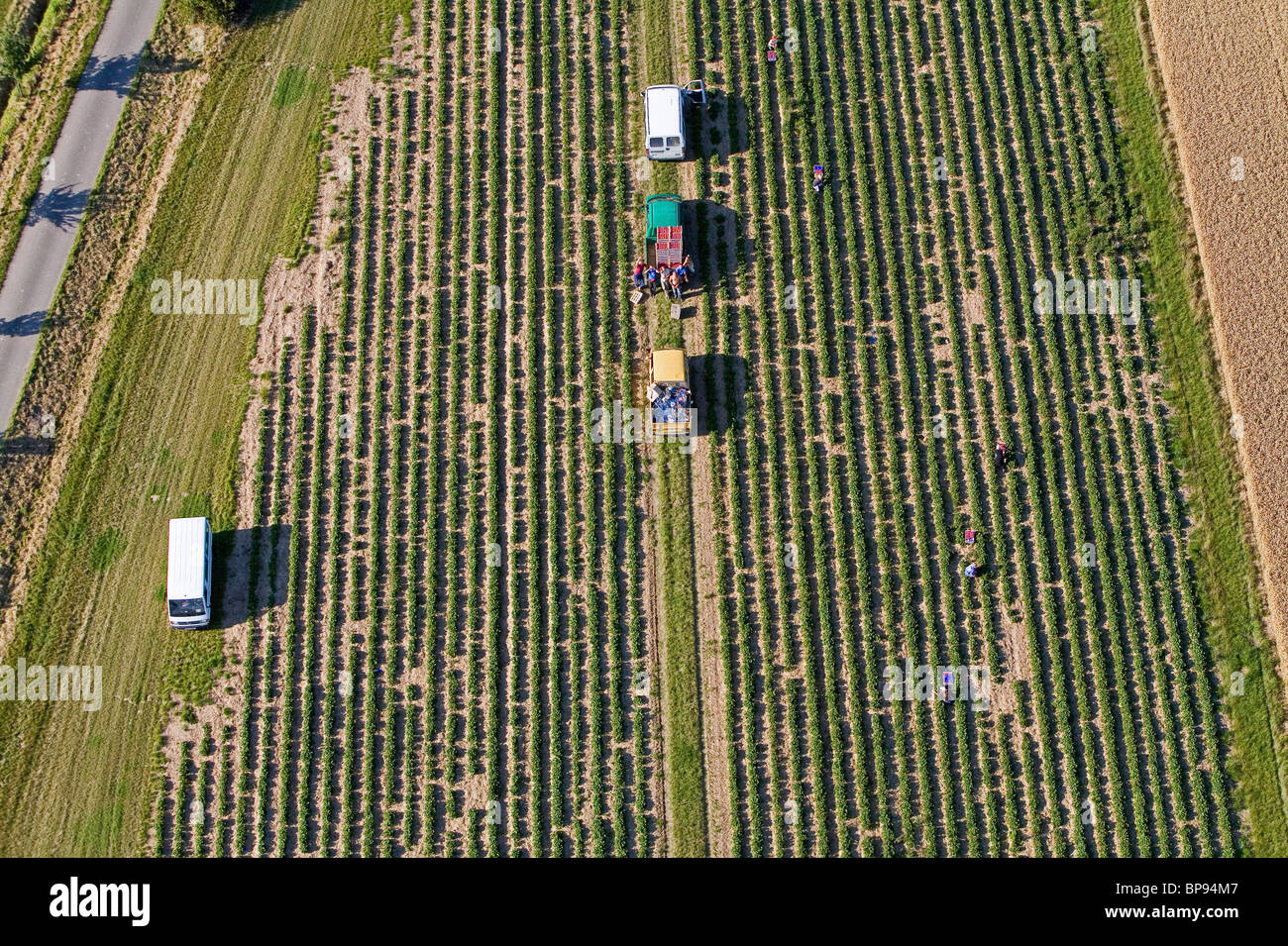 aerial view of fields in Calenberger Land, region Hanover, Lower Saxony, northern Germany Stock Photo