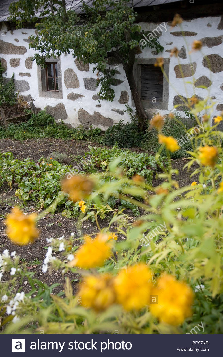 Farmhouse In Steinbloss Style Wienau Muehlviertel Upper Austria