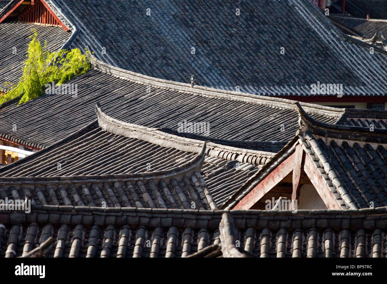 Rooftop view of the old town in Lijiang, Yunnan Province, China Stock ...