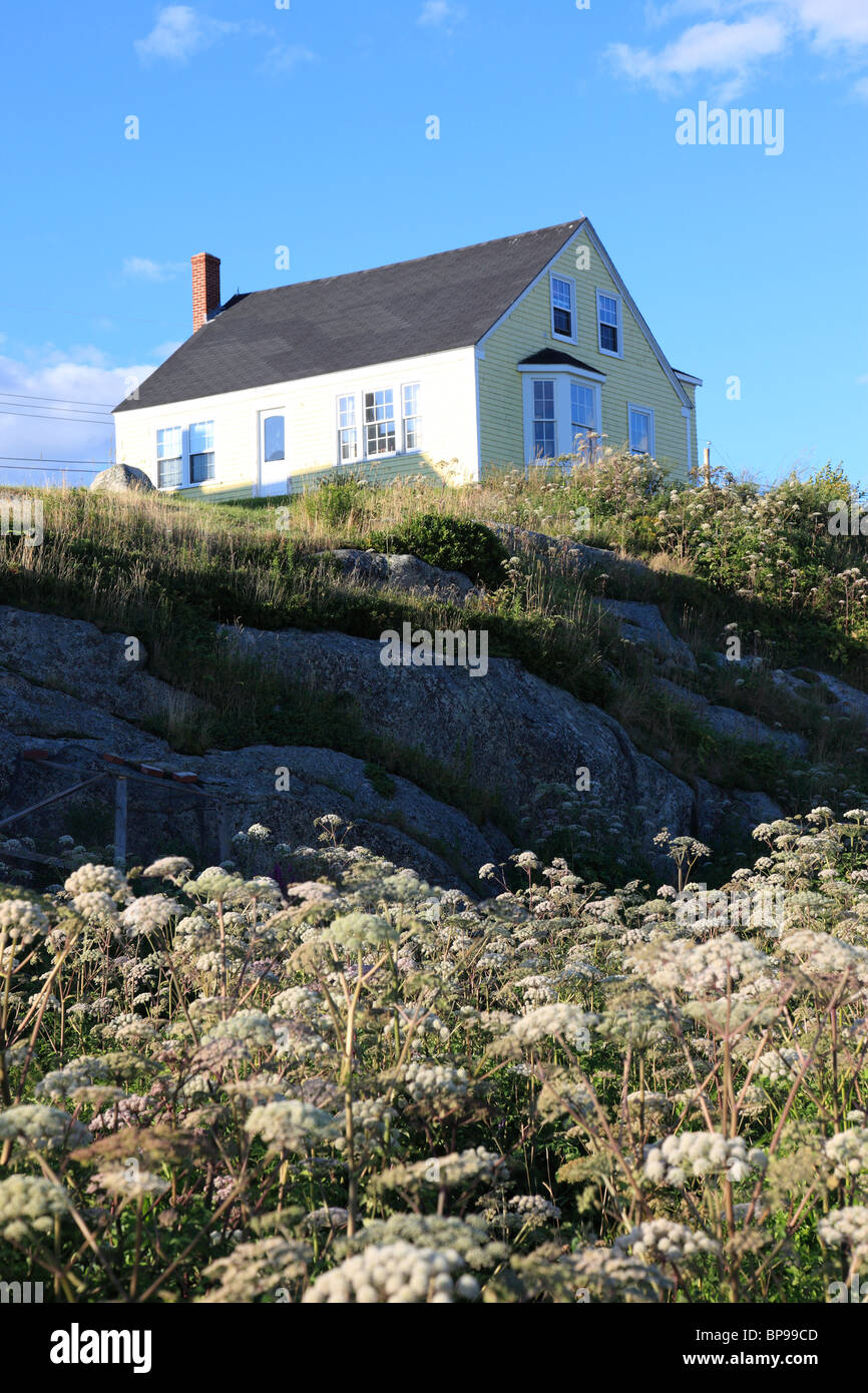 Singles in nova scotia