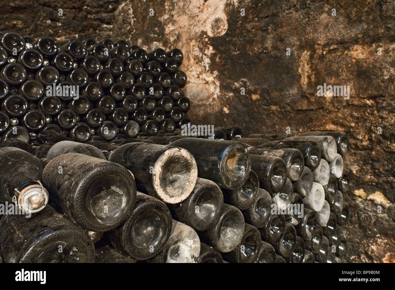 champagne sparkling wine, sekt bottles, shelf storage, in cellar