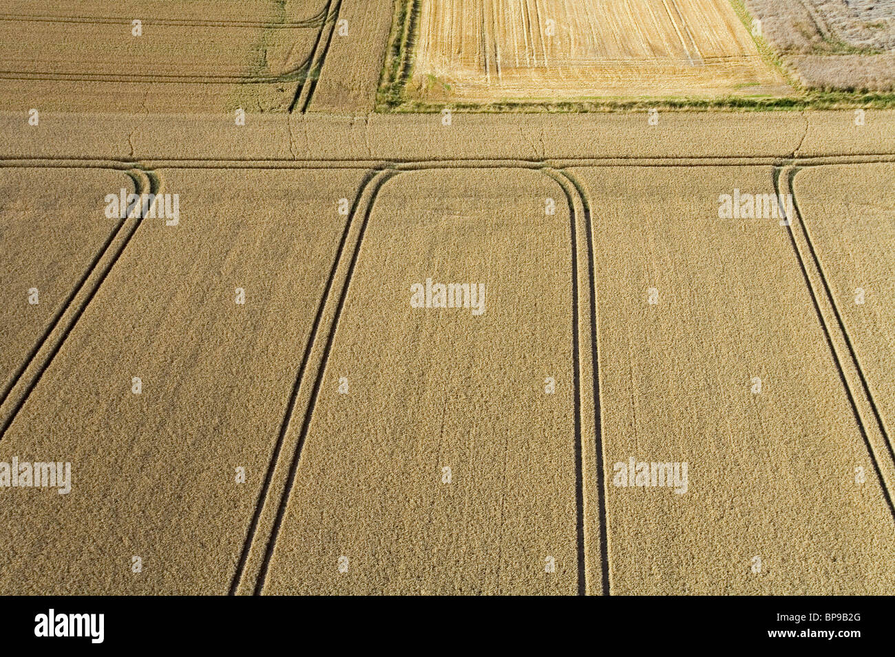 aerial view of fields, region Hanover, Lower Saxony, northern Germany Stock Photo