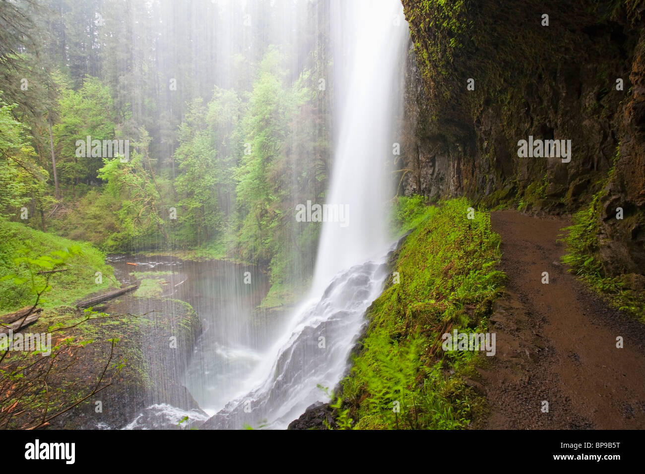 Oregon, United States Of America; A Trail Leading Behind North Middle Falls In Silver Falls State Park Stock Photo