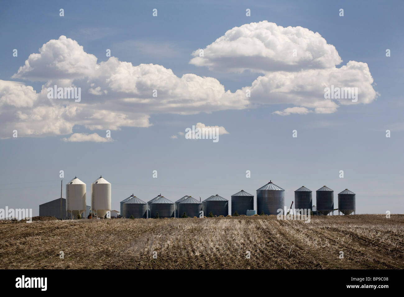 Grain bins in wheat field hires stock photography and images Alamy