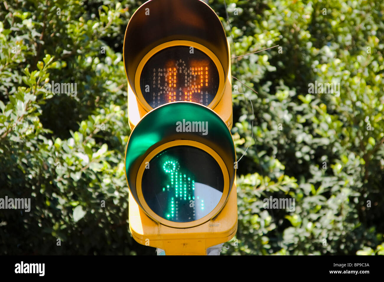 Pedestrian traffic light Insurgentes Avenue in Mexico City Stock Photo