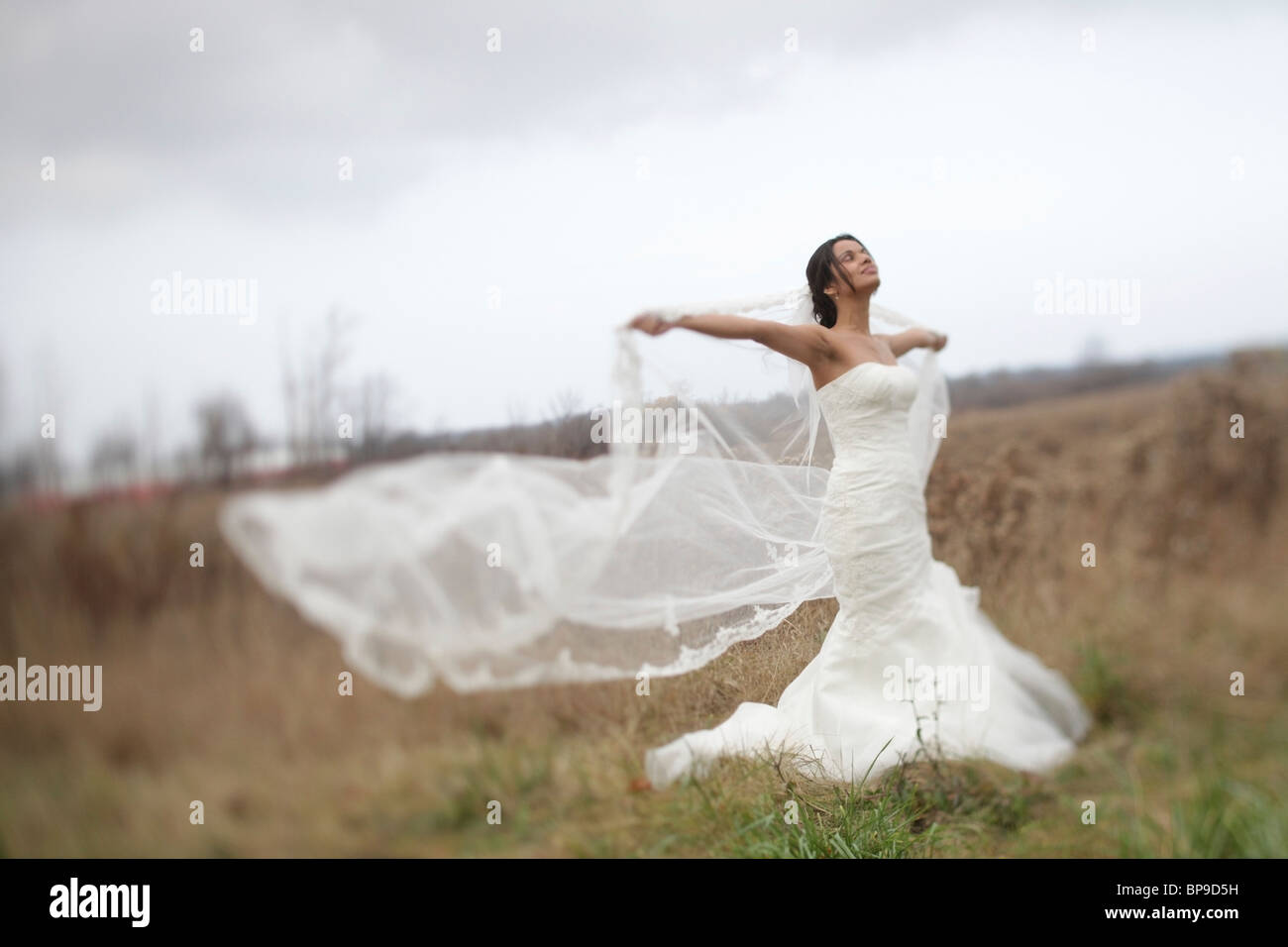 ontario, canada; a bride standing in a field holding out her veil in the wind Stock Photo