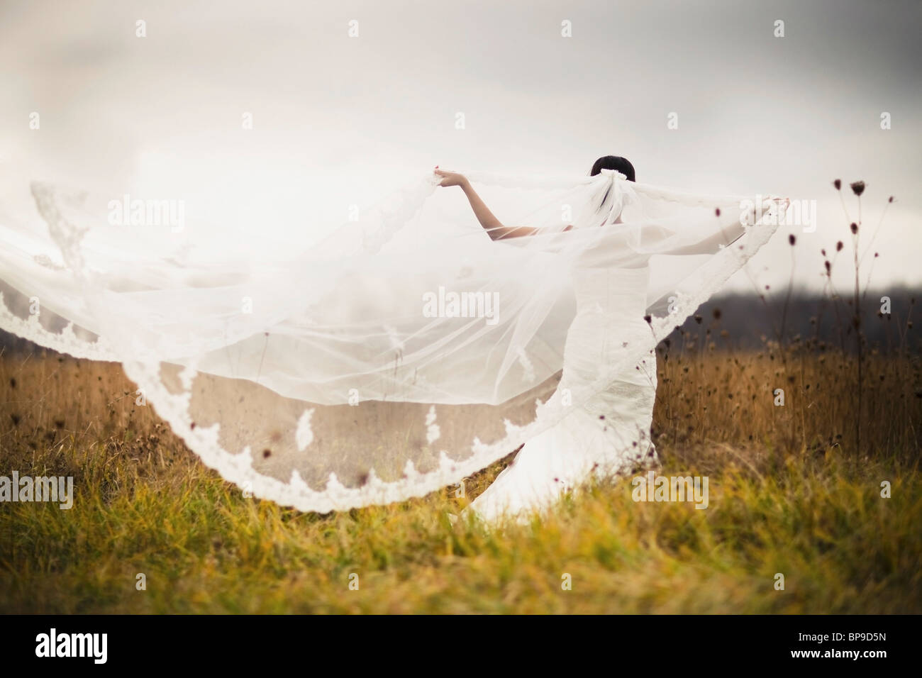 ontario, canada; a bride standing in a field and holding out her veil in the wind Stock Photo