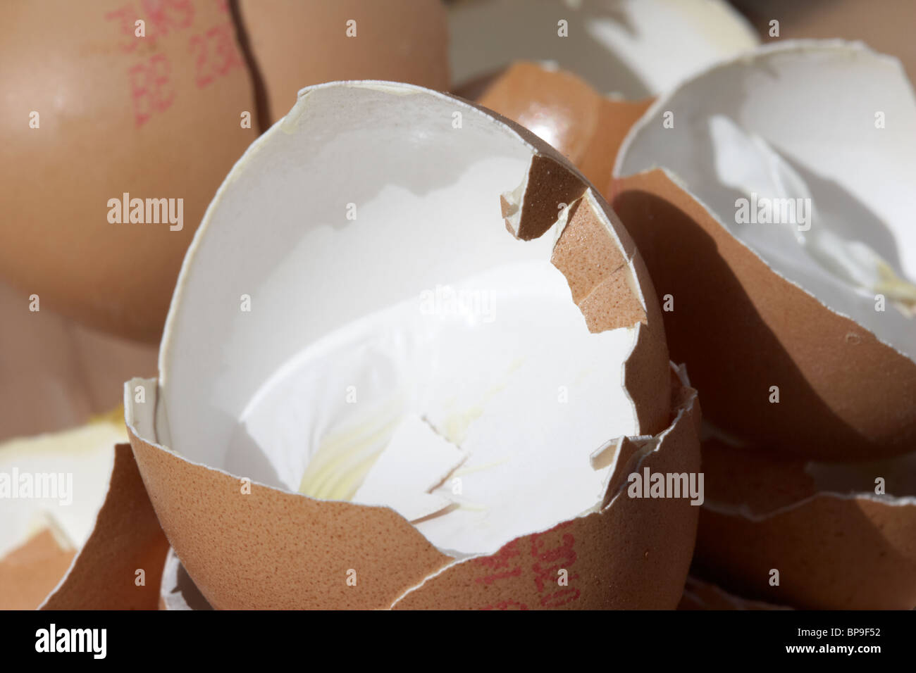 pile of broken eggshells Stock Photo Alamy