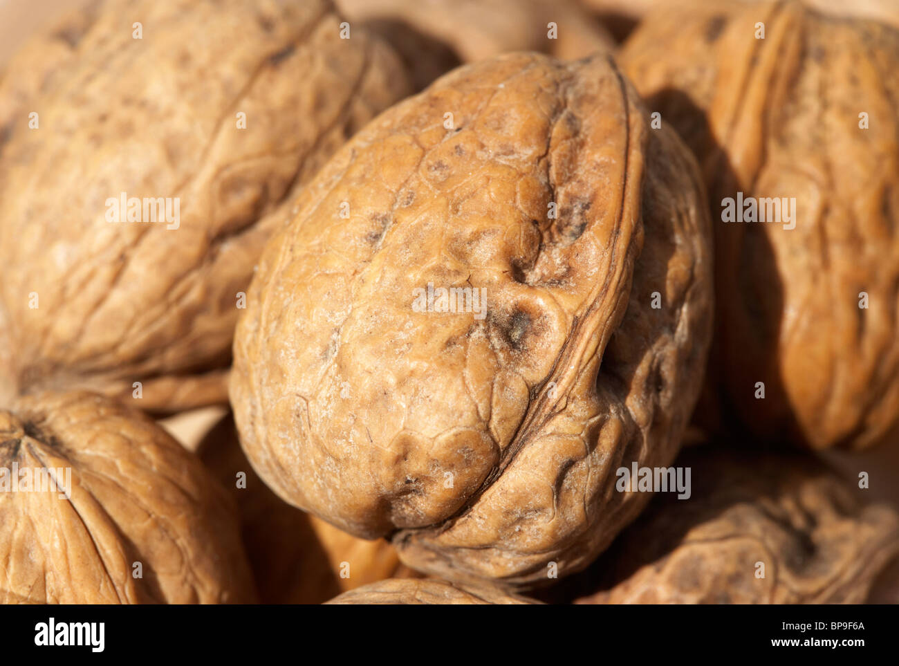 pile of walnuts in their shells Stock Photo Alamy