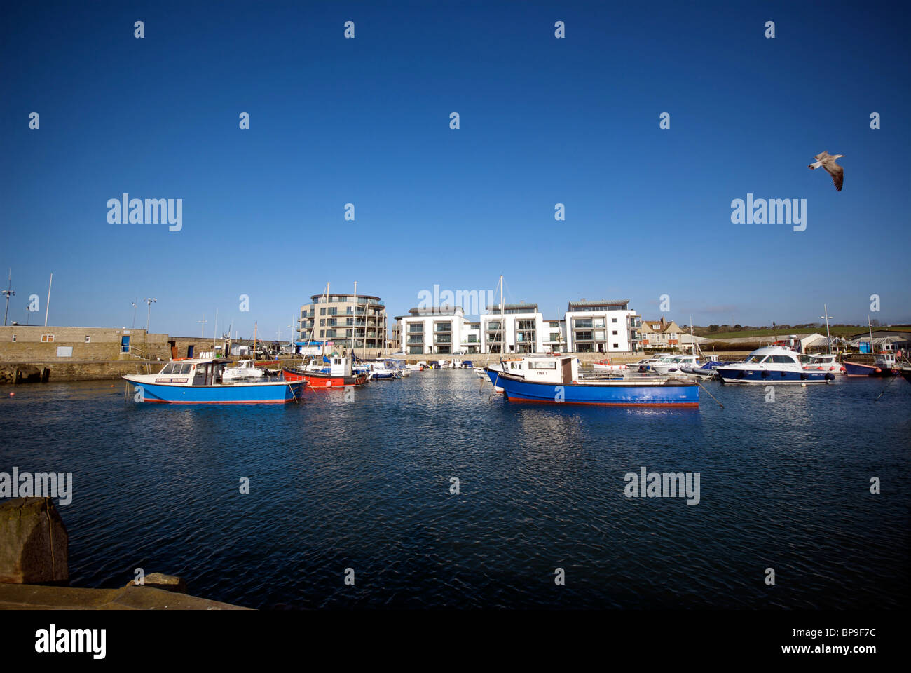 West Bay Dorset UK Harbor Harbour Quay Fishing Boats Stock Photo - Alamy