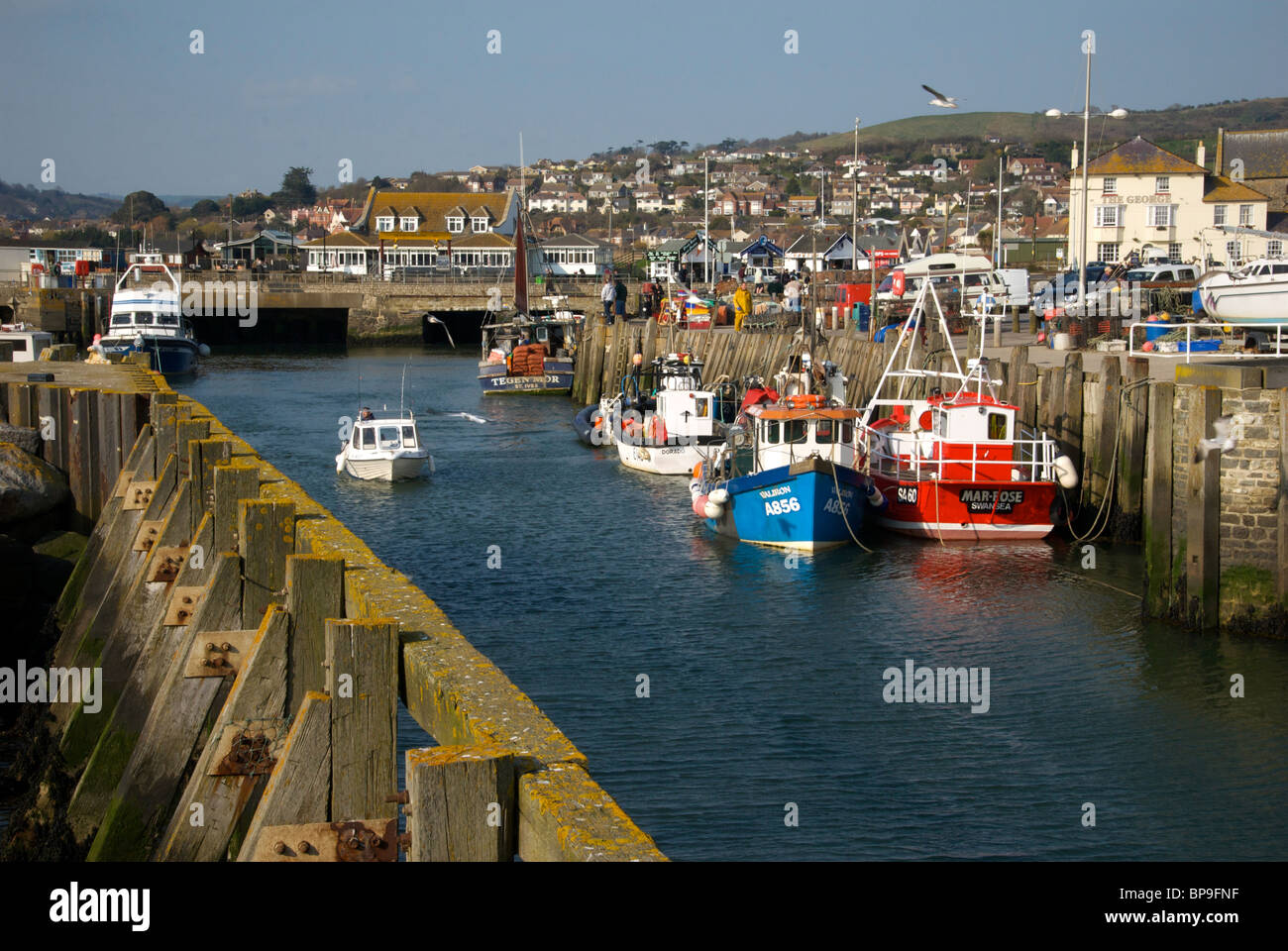 West Bay Dorset UK Harbor Harbour Quay Fishing Boats Stock Photo - Alamy