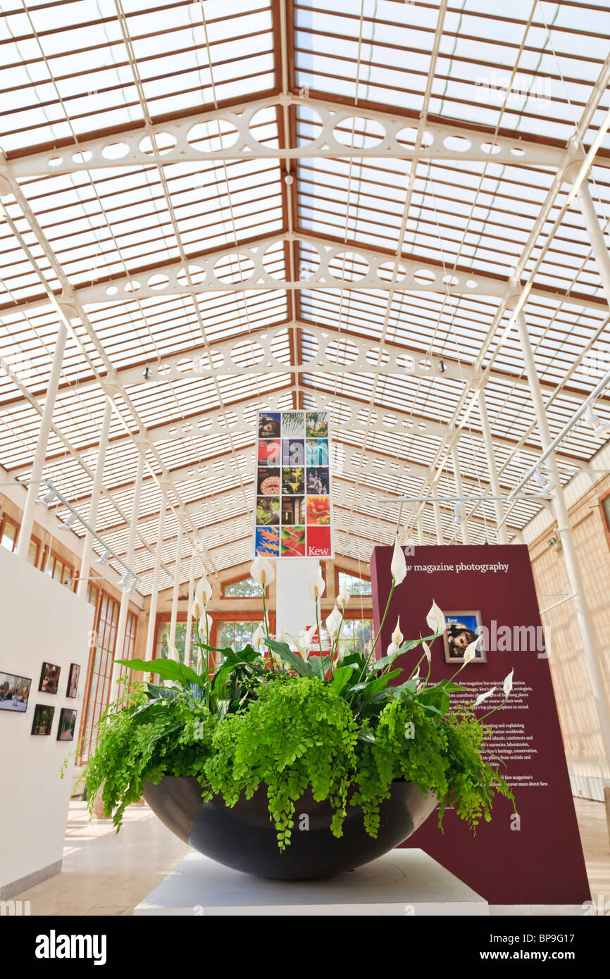 Exhibition in kew gardens hi-res stock photography and images - Alamy