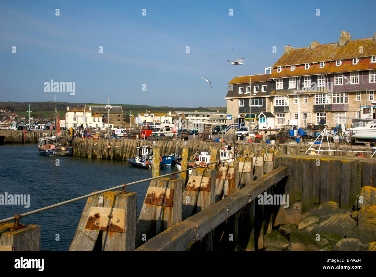 West Bay Dorset UK Harbor Harbour Quay Fishing Boats Stock Photo - Alamy