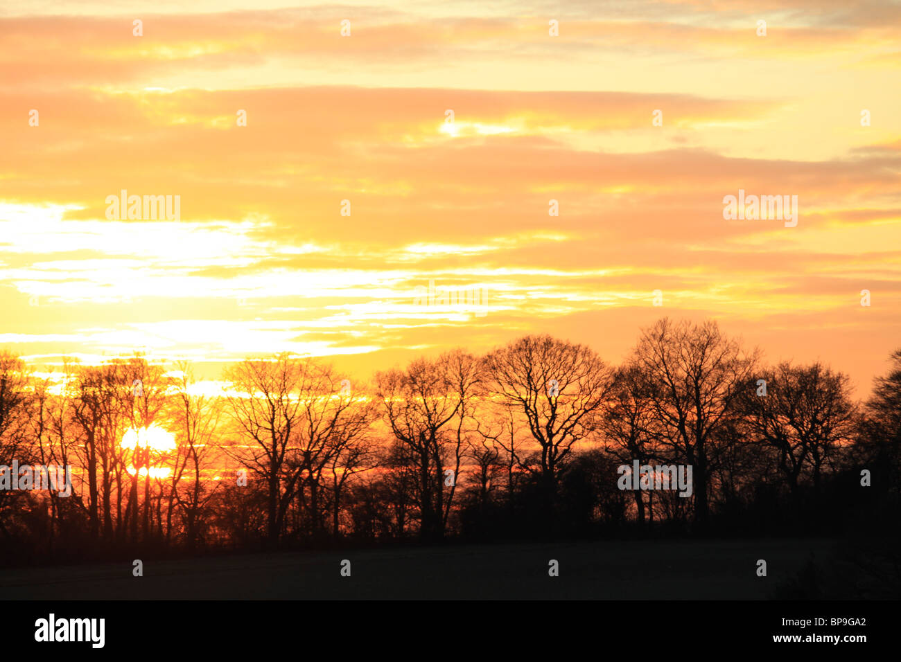 Holybourne hires stock photography and images Alamy