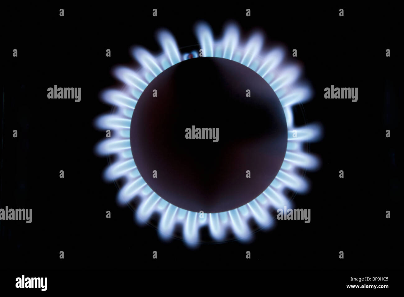 Gas Burner With Blue Flame Stock Photo Alamy