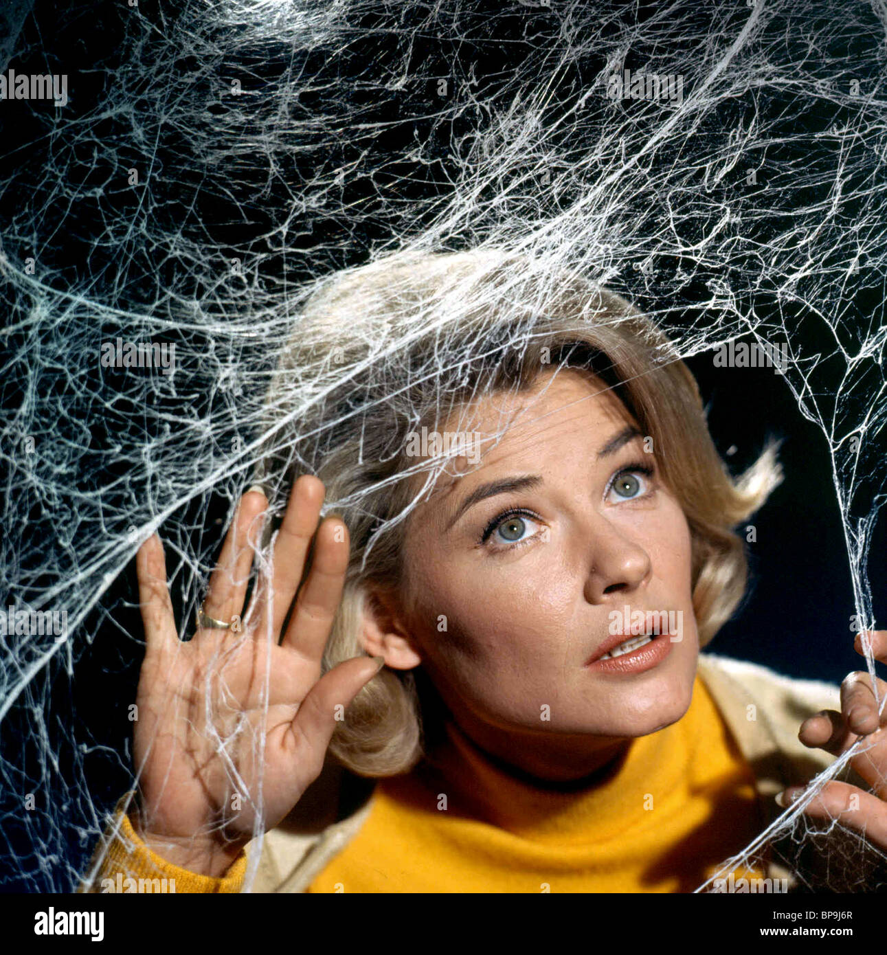 Hope Lange The Ghost Mrs Muir 1968 Stock Photo Alamy<script async src=