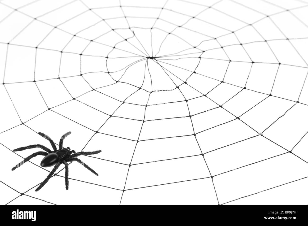 Spider Web for background use Stock Photo