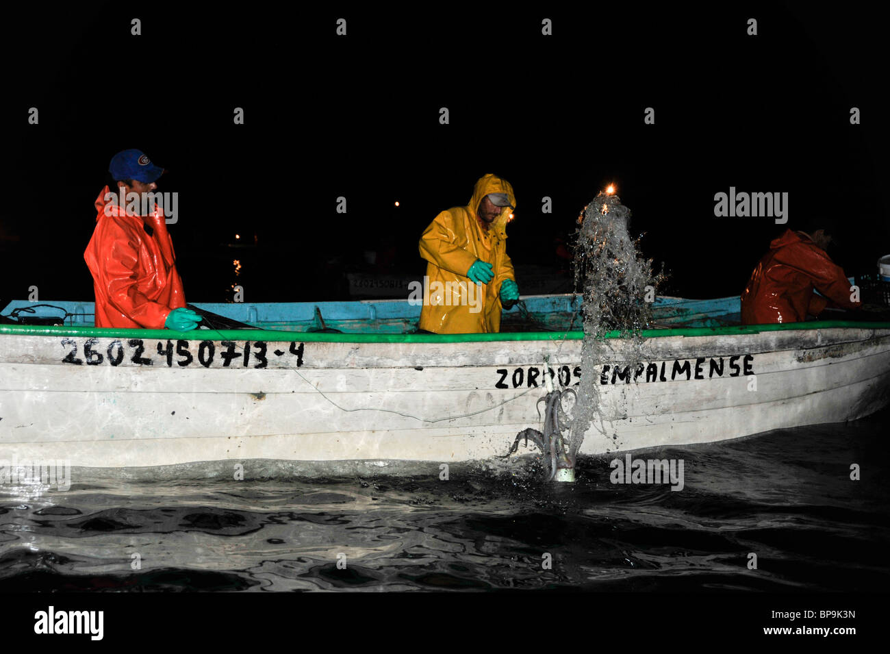 Local fishermen fishing Humboldt Squid in the Sea of Cortez Stock Photo