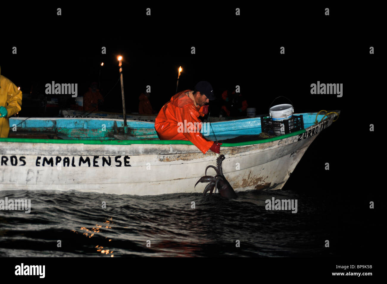 Local fishermen fishing Humboldt Squid in the Sea of Cortez Stock Photo