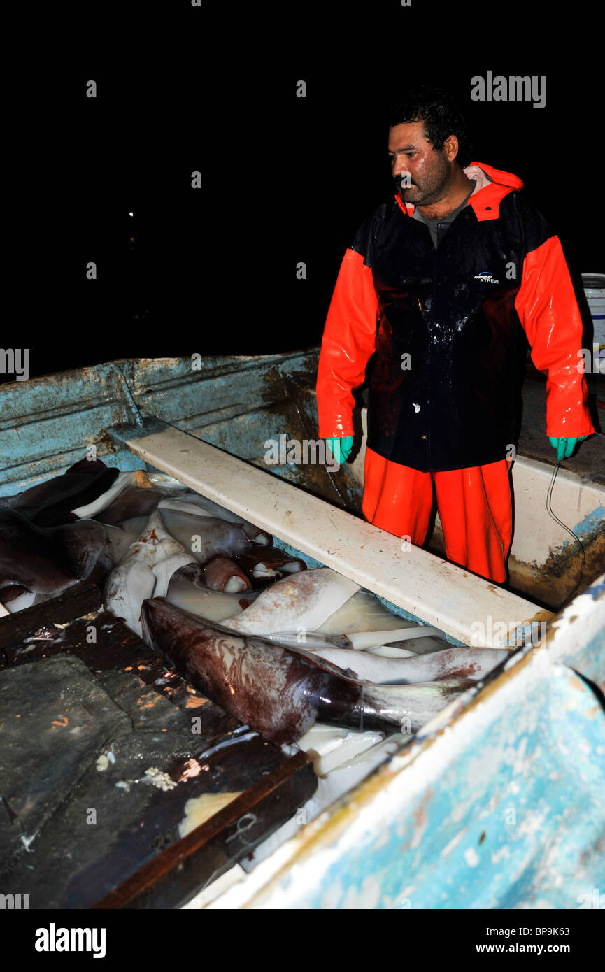 Local fishermen fishing Humboldt Squid in the Sea of Cortez Stock Photo