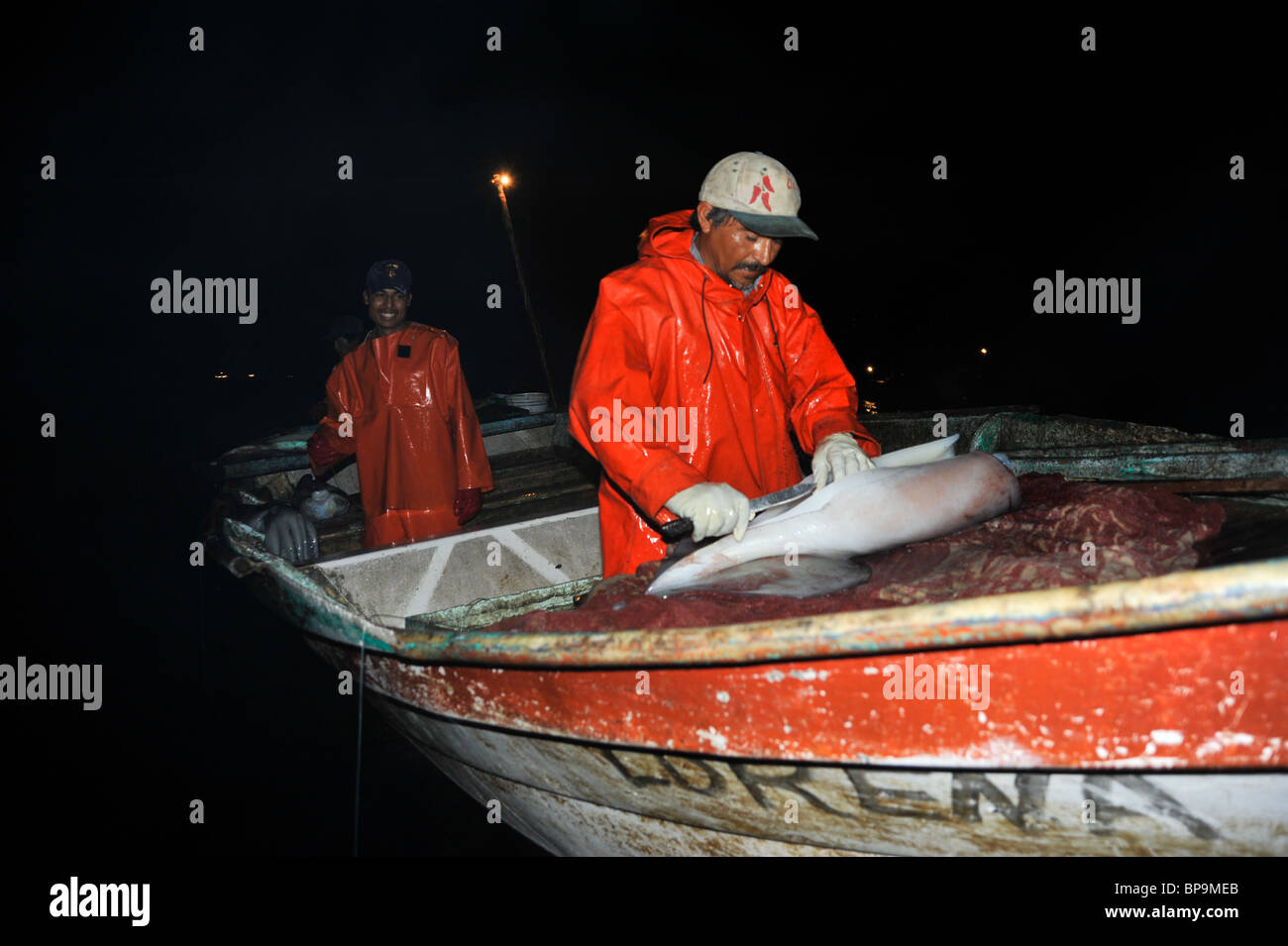 Local fishermen fishing Humboldt Squid in the Sea of Cortez Stock Photo