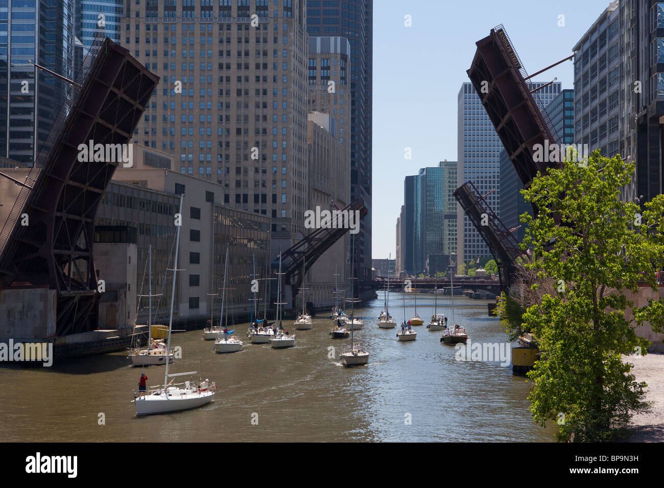 Chicago drawbridges raised for sailboats as the boats travel down